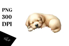 Sleeping Baby Puppy on Flower PNG Product Image 1