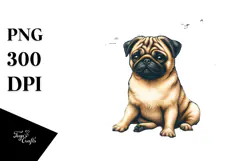 Sitting Pug in Sand with Surf and Ball | Clipart Product Image 1