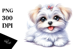 Happy Baby Maltese PNG Product Image 1