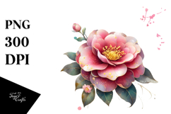 Camellia Watercolor Splash PNG Product Image 1