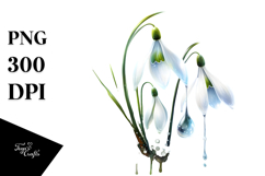 Snowdrop Made of Material, PNG Product Image 1