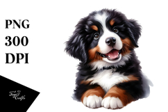 Baby Bernese Mountain Dog with Big Eyes PNG Product Image 1