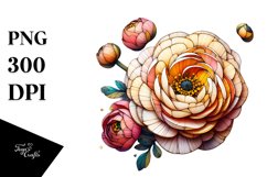 Detailed Wooden Stained Ranunculus | Clipart Product Image 3