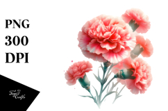 Washed Watercolor with Carnation | Clipart Product Image 1