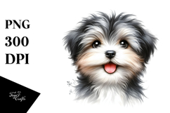 Cute Baby Havanese PNG Product Image 1