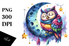 Sleeping Owl Moon Hanging Stars Vibrant Sublimation Clipart Product Image 1