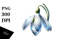 Detailed Watercolor Snowdrop | Clipart Product Image 1