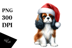 Cute Cavalier King Charles Spaniel PNG Product Image 1