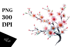 Cherry Blossom with Watercolor Splash PNG Product Image 1