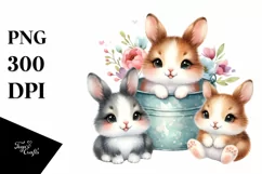 Baby Snowshoe Hare Sitting in a Bucket Product Image 3