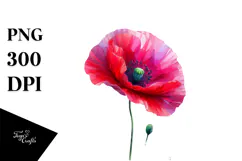 Poppy with Watercolor Splash PNG Product Image 1