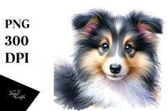 Happy Baby Collie with Big Eyes PNG Product Image 1