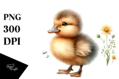Digital Watercolor Baby Duck PNG Product Image 1