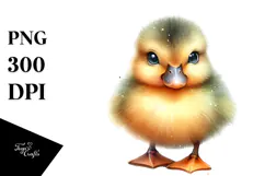 Digital Watercolor Baby Duck PNG Product Image 1