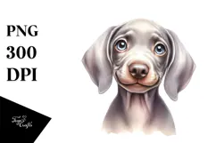 Baby Weimaraner with Crazy Fur, Transparent PNG Product Image 1