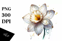 Detailed Shiny Watercolor Narcissus | Clipart Product Image 3