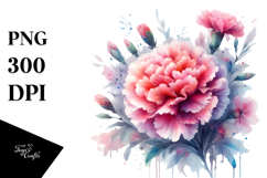 Vibrant Carnation Abstract PNG Product Image 1