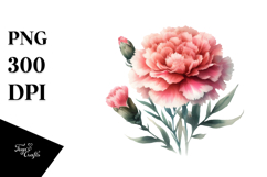 Vibrant Carnation Watercolor PNG Product Image 1