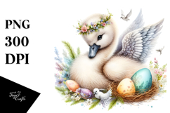Digital Watercolor Baby Swan PNG Product Image 1