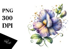 Detailed Sweet Pea Clipart Product Image 3