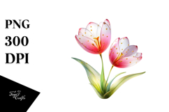 Tulip with Golden Insertions PNG Product Image 1