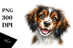 Cute Baby Brittany PNG Product Image 1