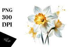 Daffodil Watercolor PNG Product Image 1