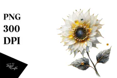 Sunflower with Watercolor Splash PNG Product Image 1