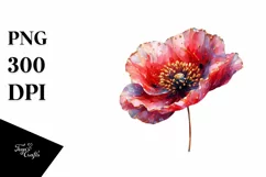 Shiny Poppy Golden | Sublimation | Clipart Product Image 3