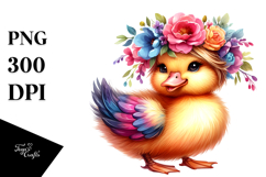 Cute Baby Duck, PNG Product Image 1