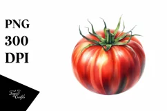 Watercolor Tomato | Sublimation Clipart Product Image 3
