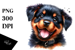 Cute Baby Rottweiler with Crazy Fur PNG Product Image 1