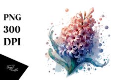 Hyacinth Made of Transparent , Watercolor Splash PNG Product Image 1