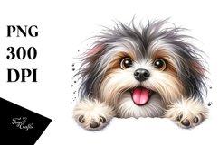 Crazy Fur Watercolor Havanese | Clipart Product Image 3