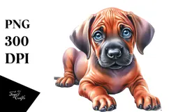 Baby Rhodesian Ridgeback with Big Eyes PNG Product Image 1