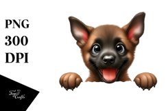 Funny Crazy Looking Baby Malinois | Sublimation | Clipart Product Image 3