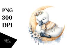 Boho Baby Swan Dressed for Summer PNG Product Image 1