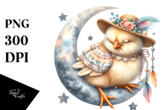 Boho Baby Chicken Dressed for Summer PNG Product Image 1