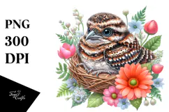 Vibrant Watercolor Baby Nightjar | Clipart Product Image 1