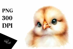 Baby Chicken with Big Eyes, Transparent PNG Product Image 1