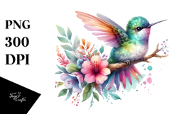 Baby Hummingbird Sublimation Clipart Product Image 1