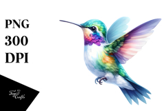 Baby Hummingbird Sublimation Clipart Product Image 1