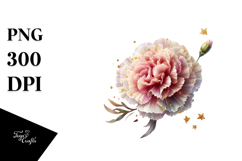 Carnation Watercolor Splash PNG Product Image 1