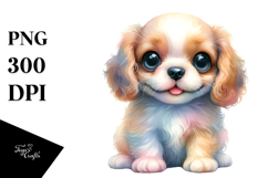 Expressive Cocker Spaniel, Transparent PNG Product Image 1