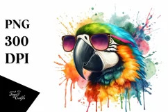 Colorful Macaw Sunglasses | Sublimation Clipart Product Image 1