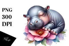 Sleeping Baby Hippo, High-Res PNG Product Image 1