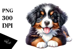 Baby Bernese Mountain Dog, Transparent PNG Product Image 1