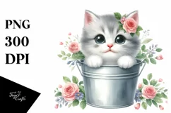 Cute Baby Cat from Bucket PNG Product Image 1