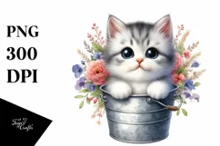 Cute Baby Cat from Bucket PNG Product Image 1