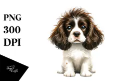 Cute Baby English Springer Spaniel, White Background Product Image 1